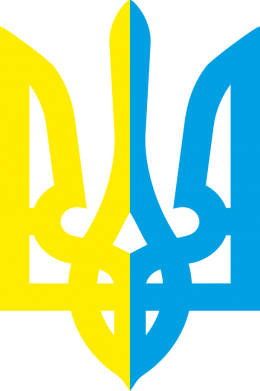 Дитяча шапка Двокольоровий герб України 2