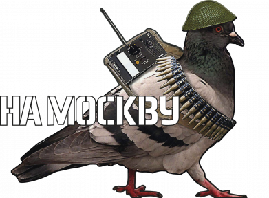 Худі оверсайз Голуб на москву 2