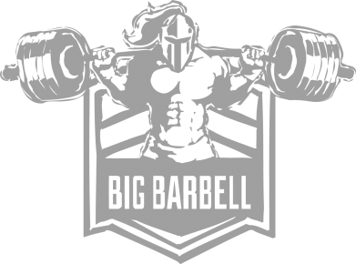 Мужская футболка Stedman Great Bar 2