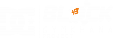 Детская худи Ken Block Gymkhana Project 2