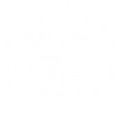 Чехол из раздела Дракон Dragons 3 для Apple iPhone 14 2