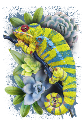 Маска для лица Collage with chameleon and succulents 2