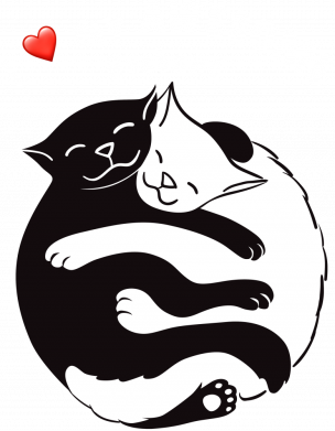 Бутылка для воды Veneto Cats and love 2