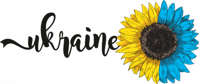 Чехол из раздела Авторские принты Подсолнух Украина для Samsung A21s 2