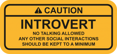 Шеврон прямоугольный Introvert 2