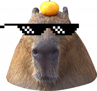Принт Чохол для Xiaomi Redmi Note 12 5G/Poco X5 5G Capybara cool, Фото № 2 - FATLINE