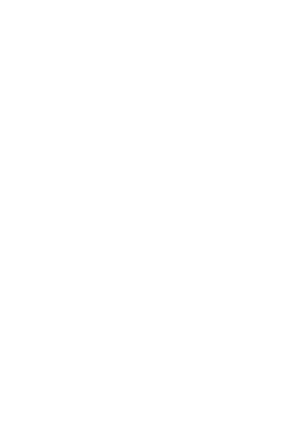 Принт Чохол для Samsung S23 Ultra Attack on Titan: Levi Ackermann, Фото № 2 - FATLINE