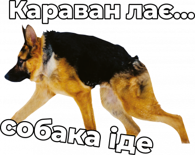 Женская футболка КАРАВАН ЛАЄ – СОБАКА ІДЕ 2