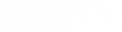 Худи оверсайз Gymkhana Project Ken Block 2