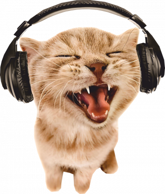 Cat with headphones