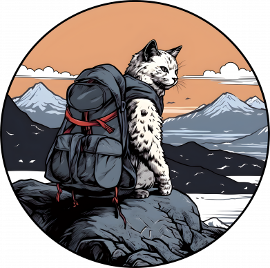 Бутылка для воды Veneto Кот в горах 2