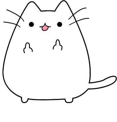 Чехол из раздела Авторские принты Кот пох, с факами для Apple iPhone 11 Pro 2