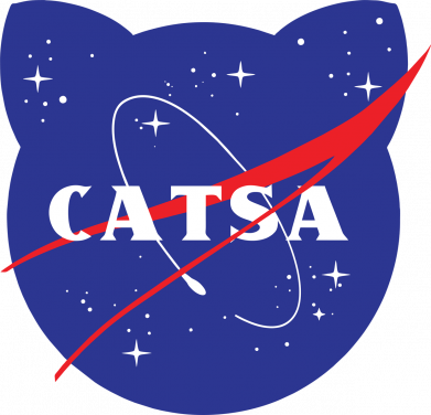 Принт Жіноча футболка Catsa, Фото № 2 - FATLINE