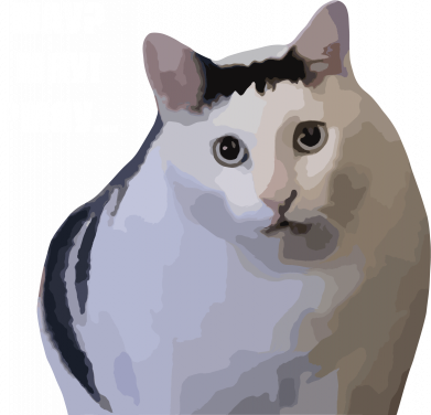 Цветной фартук Мемный кот возмущается 2