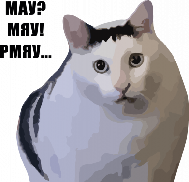 Мемний кіт обурюється