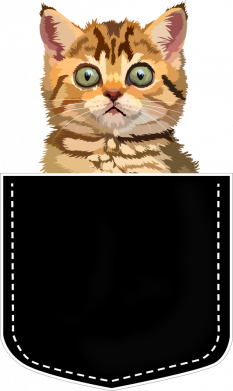 Футболка оверсайз FATLINE Cat in your pocket 2