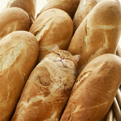 Футболка оверсайз FATLINE КотоБатон 2