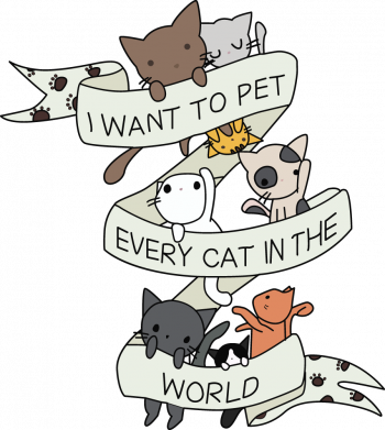 Дитяча футболка I want to open every cat in the world 2