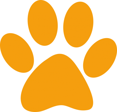 Чоловіча футболка Stedman Супер кіт 2