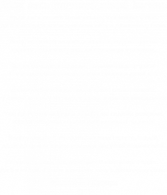 Світшот для собаки Лечу в Донеччину свою 2