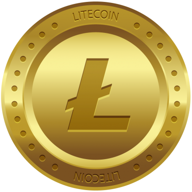 Принт Мужская худи на молнии Litecoin coin, Фото № 2 - FatLine