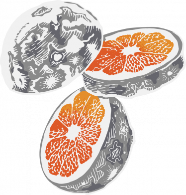 Шеврон щит Луна в Разрезе 2