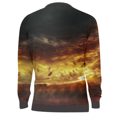 3D свитшот Flash in move 2