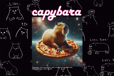 Флаг Капибара ан пицце 2