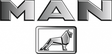 Принт Стікер Man logo and lion, Фото № 2 - FATLINE