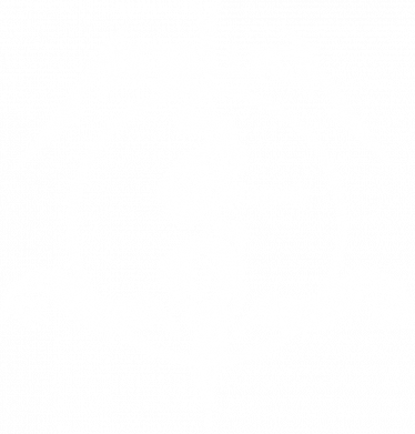 Женская футболка Metallica death magnetic 2