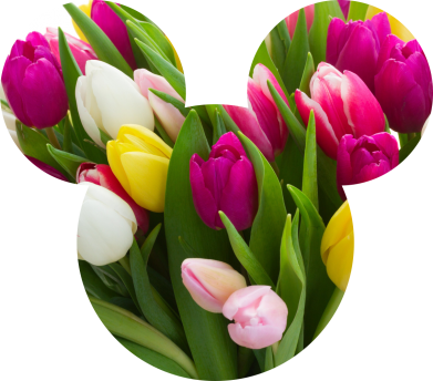 Чехол из раздела Цветы Inner world flowers mickey mouse для Xiaomi Redmi 12 2