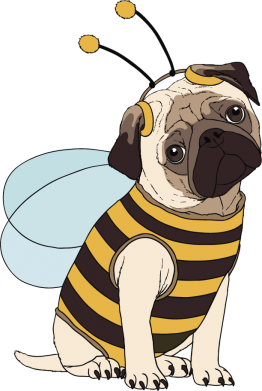 Женская футболка Pug Bug 2