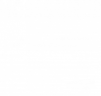 Термобутылка Viano Mosasaurus 2