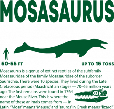 Mosasaurus