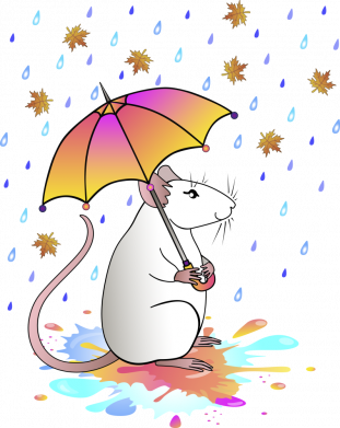 Принт Блокнот А5 Mouse and rain, Фото № 2 - FATLINE