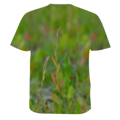 Мужская 3D футболка Owl on green field 2