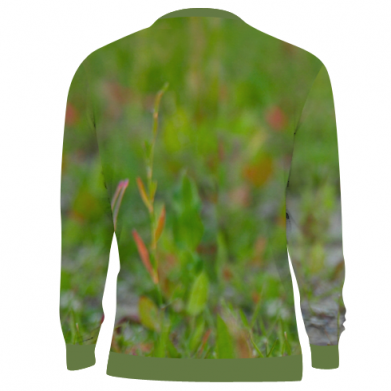 3D свитшот Owl on green field 2