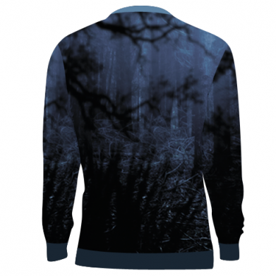 3D свитшот Two wolves in the forest 2