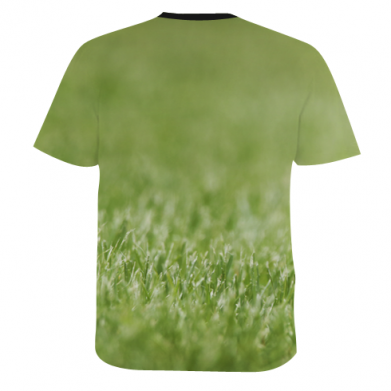 Мужская 3D футболка Маленький енот 2