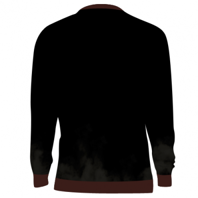 Принт 3D свитшот Game Dark Souls, Фото № 2 - FATLINE