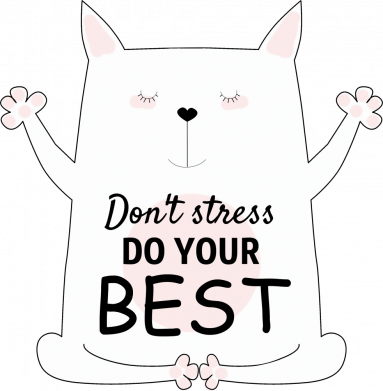 Мужская футболка Stedman Don't Stress Be Youself 2