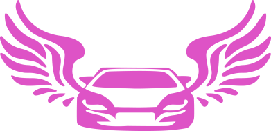 Мужская футболка Stedman Infiniti wings 2