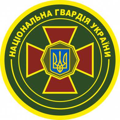Принт Кружка-хамелеон с блестками Національна гвардія України емблема, Фото № 2 - FATLINE