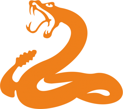 Принт Шеврон щит Змея, Фото № 2 - FATLINE