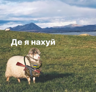 Принт Жіноча стрейчева футболка Вівця військова: де я нах*й, Фото № 2 - FATLINE