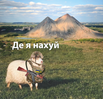 Принт Футболка для собаки Овца: где я нах*й. Терриконы, Фото № 2 - FATLINE