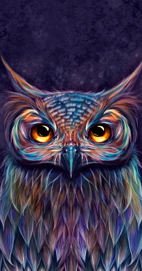 Чохол з розділу Сова The Magic Owl для Apple iPhone 15 Pro Max 2