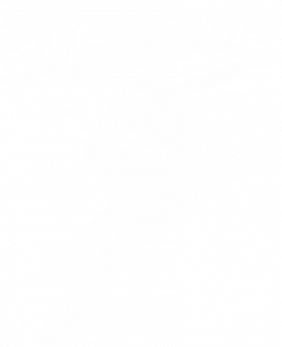 Худі для собаки Parkour and jump 2