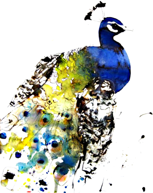 Детская футболка Павлин 2