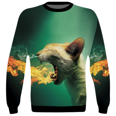 Принт 3D світшот Hot cat, Фото № 2 - FATLINE